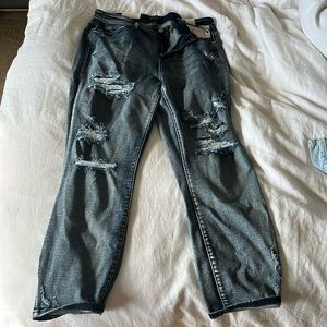 Brand new, Judy Blue straight leg jeans